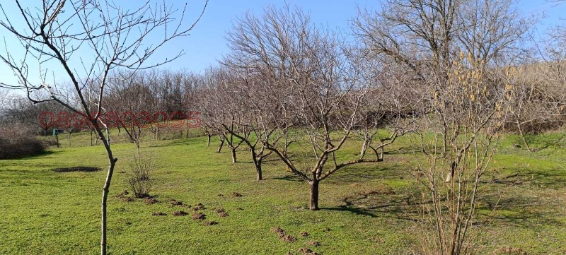 Продава ПАРЦЕЛ, с. Калипетрово, област Силистра