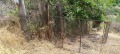 Продава ПАРЦЕЛ, с. Калипетрово, област Силистра, снимка 5