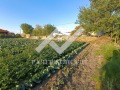 Продава  Парцел област Пловдив , с. Маноле , 865 кв.м | 64553098