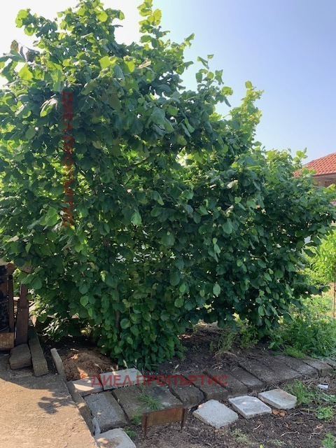 Продава КЪЩА, гр. Бургас, с. Маринка, снимка 2 - Къщи - 55102394