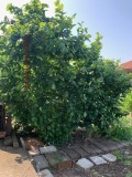 Продава КЪЩА, гр. Бургас, с. Маринка, снимка 2