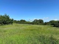 Продава ЗЕМЕДЕЛСКА ЗЕМЯ, с. Паталеница, област Пазарджик, снимка 2