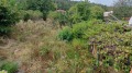 Продава  Къща област Русе , с. Бъзовец , 60 кв.м | 96035871 - изображение [15]
