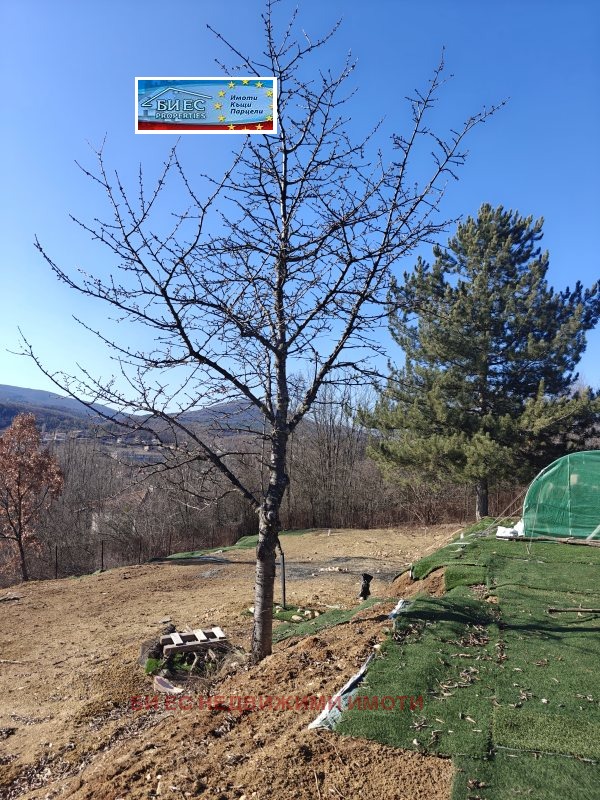 ������� ������ | Imot.bg � ����������� 8