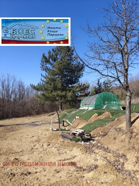 ������� ������ | Imot.bg � ����� ������ 9