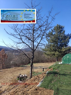 ������� ������ | Imot.bg � ����� ������ 8