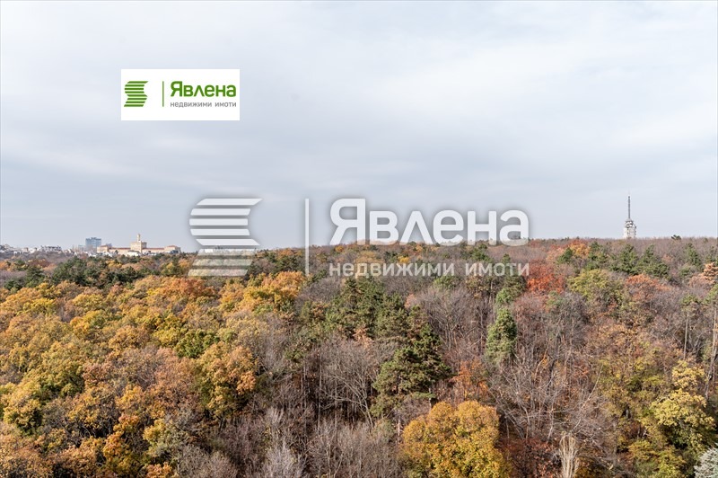Продава 4-СТАЕН, гр. София, Изгрев, снимка 10 - Апартаменти - 54285936