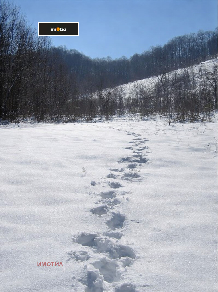 ������� ������ | Imot.bg � ����������� 2