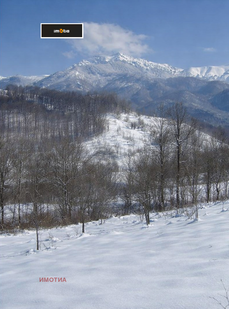 ������� ������ | Imot.bg � ����������� 1