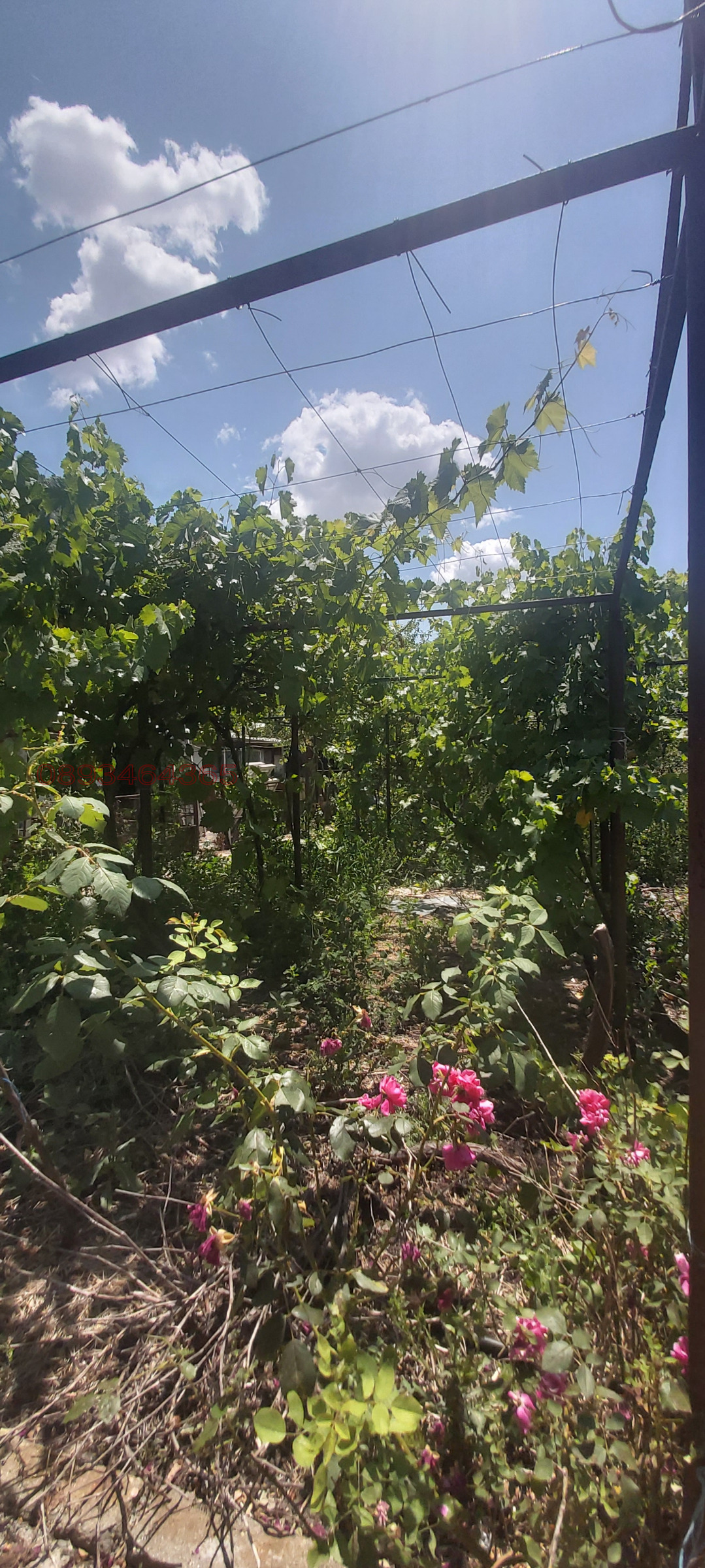 ������� ���� | Imot.bg � ����������� 10