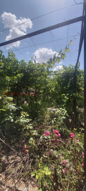 ������� ���� | Imot.bg � ����� ������ 10