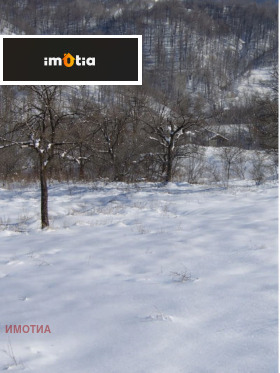 ����� ������� ������,��. �������, ������ �����