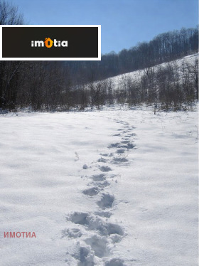 ����� ������� ������,��. �������, ������ �����