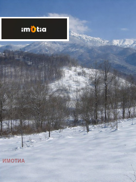 ����� ������� ������,��. �������, ������ �����