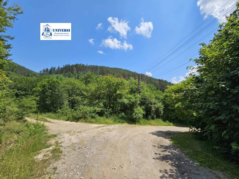 Te koop  Verhaallijn regio Sofia , Osoitsa , 1000 m² | 61784304