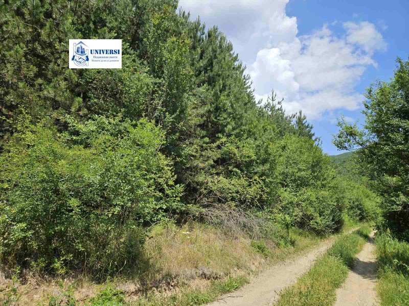 Te koop  Verhaallijn regio Sofia , Osoitsa , 1000 m² | 61784304 - afbeelding [4]