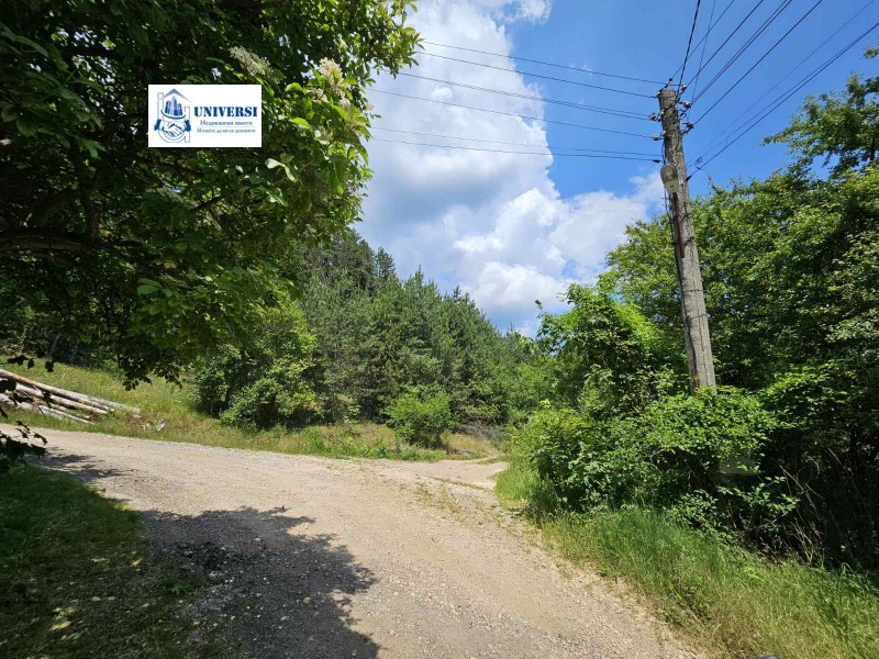 Te koop  Verhaallijn regio Sofia , Osoitsa , 1000 m² | 61784304 - afbeelding [3]