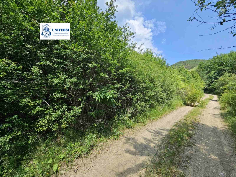 Te koop  Verhaallijn regio Sofia , Osoitsa , 1000 m² | 61784304 - afbeelding [6]