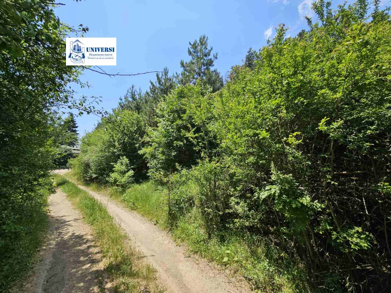 Te koop  Verhaallijn regio Sofia , Osoitsa , 1000 m² | 61784304 - afbeelding [5]
