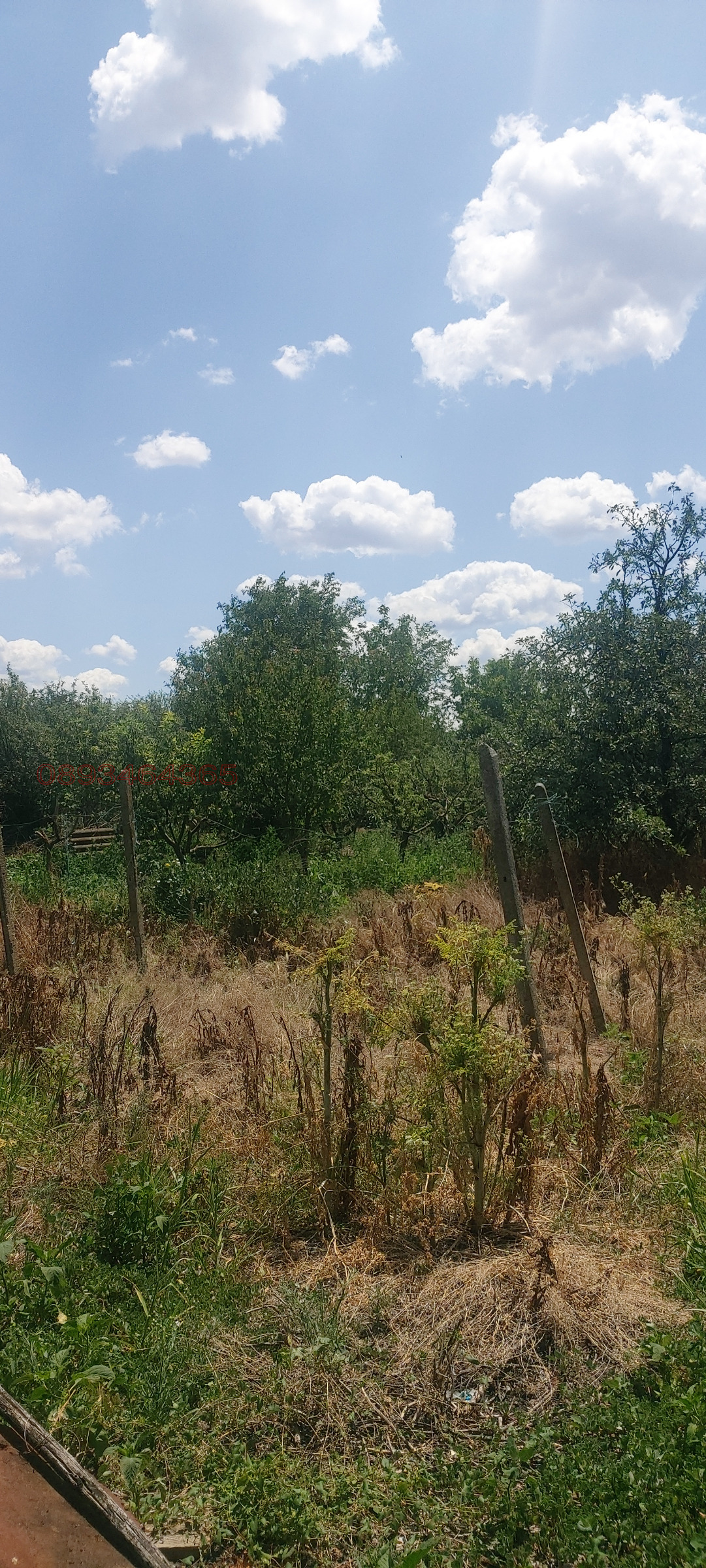 Продава КЪЩА, с. Средец, област Стара Загора, снимка 12 - Къщи - 54003049