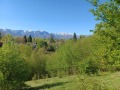 Продава ПАРЦЕЛ, гр. Априлци, област Ловеч, снимка 2