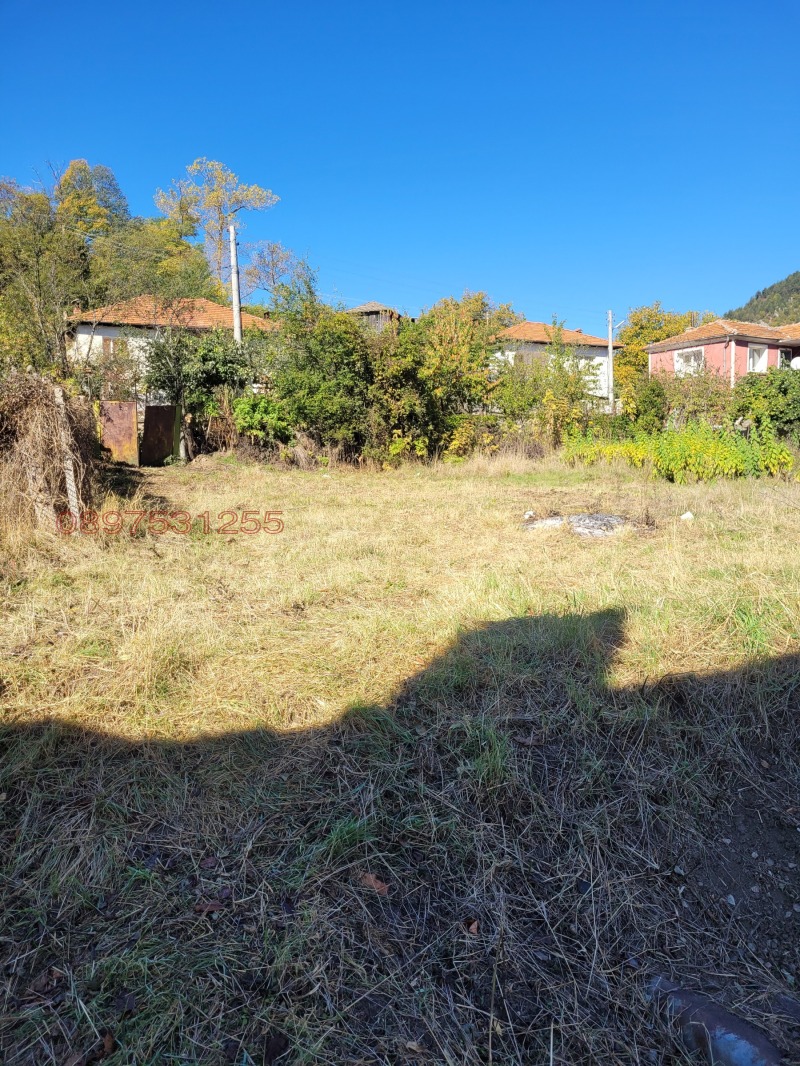 Продава КЪЩА, с. Беден, област Смолян, снимка 2 - Къщи - 52781237