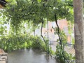 Продава КЪЩА, гр. Пловдив, Център, снимка 9
