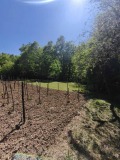Продава  Вила град Враца , Студентски град , 35 кв.м | 65299053 - изображение [8]