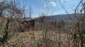 Продава ПАРЦЕЛ, област Габрово, с. Раховци • 10000 € / 19558.30 лв. • 71646828 5