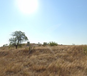 Парцел град Бургас, м-ст Отманли 1