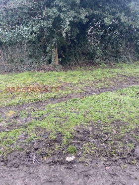 ������� ������ | Imot.bg � ����� ������ 5