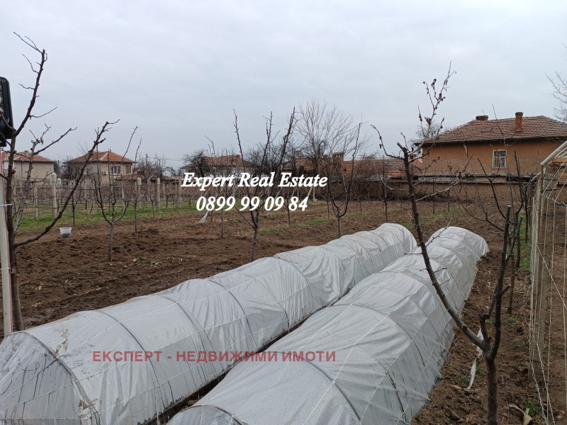 Продава  Парцел област Пловдив , с. Цалапица , 1000 кв.м | 94572777