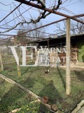 Продава КЪЩА, град Варна, м-т Планова • 65000 € • 96613275 — Holmes.bg