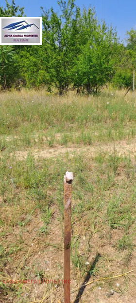 ������� ������ | Imot.bg � ����� ������ 2