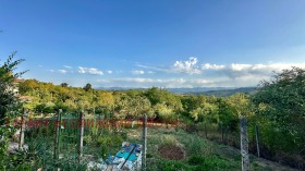 For Sale Plot