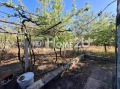 Продава  Къща област Варна , с. Овчага , 80 кв.м | 24923588 - изображение [7]