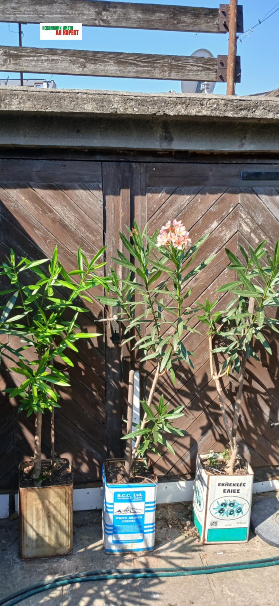 Продава КЪЩА | Imot.bg — изображение 5