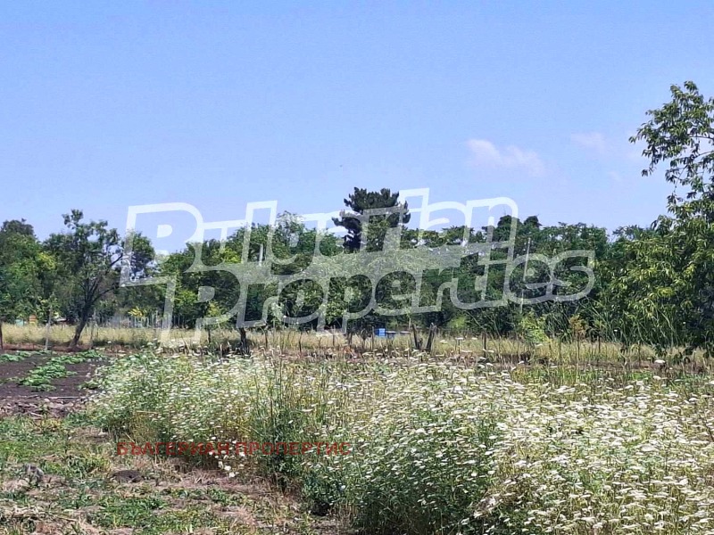 Til salg  Hus region Burgas , Dobrinovo , 90 kvm | 83573466 - billede [15]