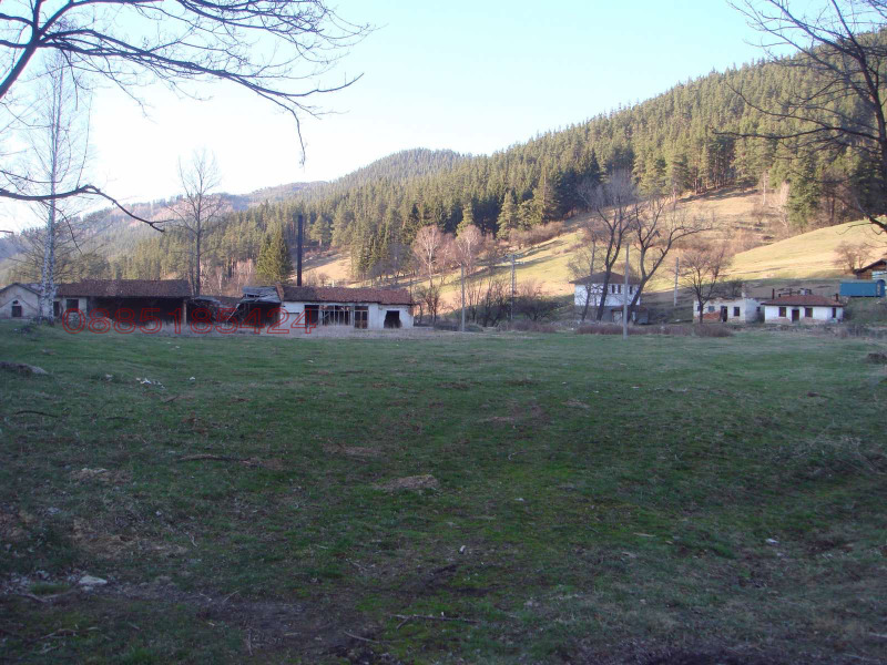 Продава ПАРЦЕЛ, гр. Копривщица, област София област, снимка 3 - Парцели - 52844051