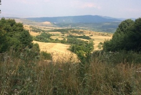 For Sale  Plot Sofia , Bistritsa , 2787 sq.m | 22594563