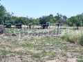 Продава КЪЩА, област Бургас, с. Добриново • 20000 € / 39116.60 лв. • 33870311 5