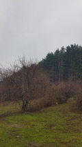 Продава ПАРЦЕЛ, област Кюстендил, гр. Сапарева баня • 101700 € • 15432968 — Holmes.bg