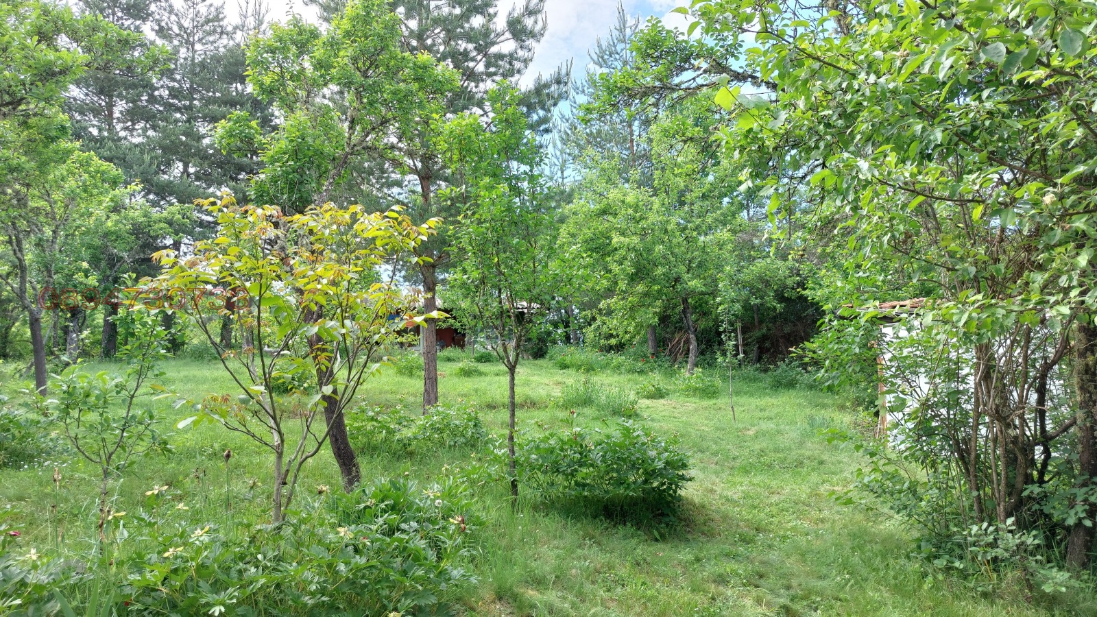 Продава ПАРЦЕЛ | Imot.bg — изображение 7