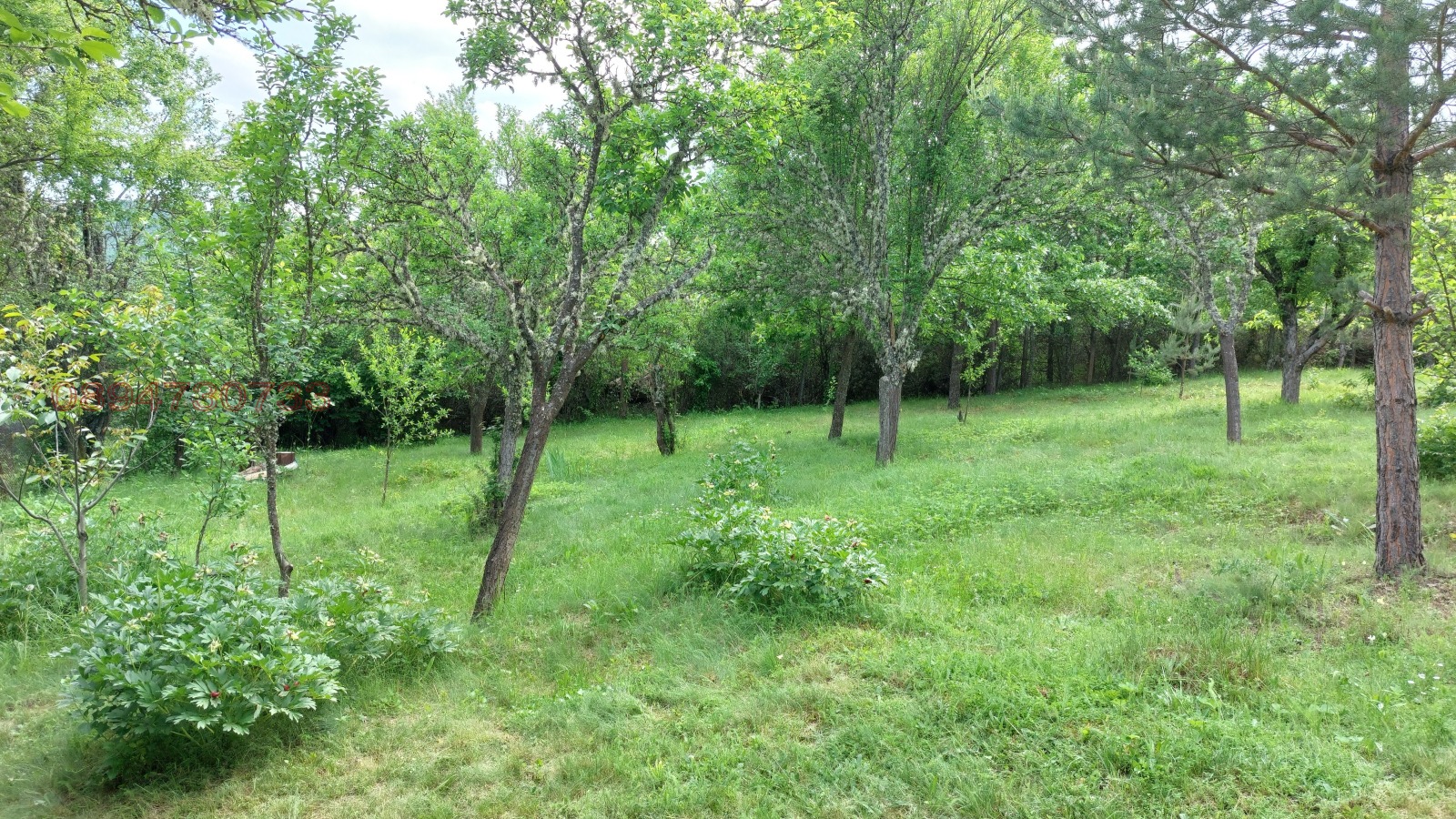 Продава ПАРЦЕЛ | Imot.bg — изображение 15