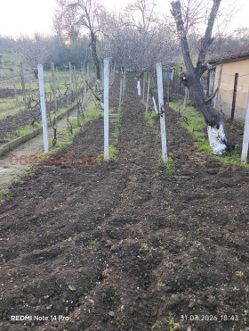 ������� ���� | Imot.bg � ����� ������ 4