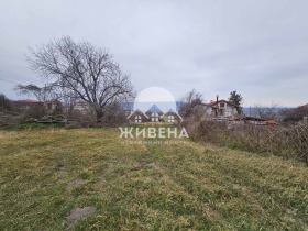 House Rogachevo, region Dobrich 13