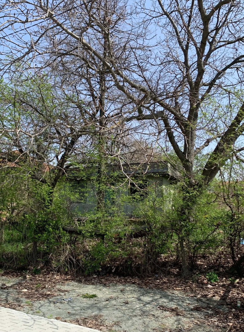Zu verkaufen  Villa region Sofia , Dolna banja , 705 qm | 50937462 - Bild [3]