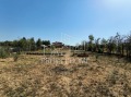 Продава ПАРЦЕЛ, област Бургас, с. Порой • 85000 € • 83779661 — Holmes.bg