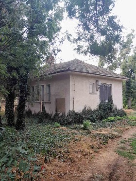 Bar; Café Bojouritsa, région Pleven 5