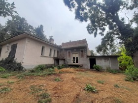 Bar; Café Bojouritsa, région Pleven 4